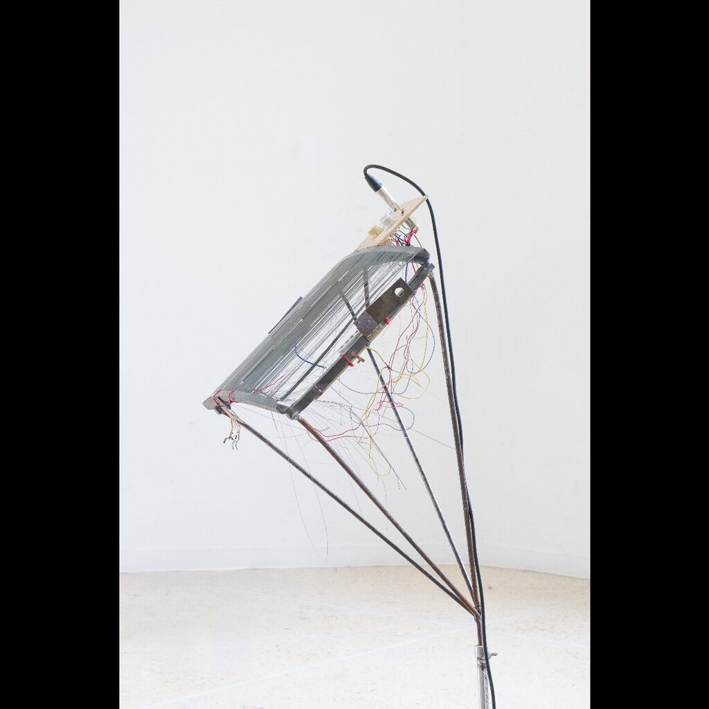 Φωτογραφία του έργου "Θορυβομελοποιός"