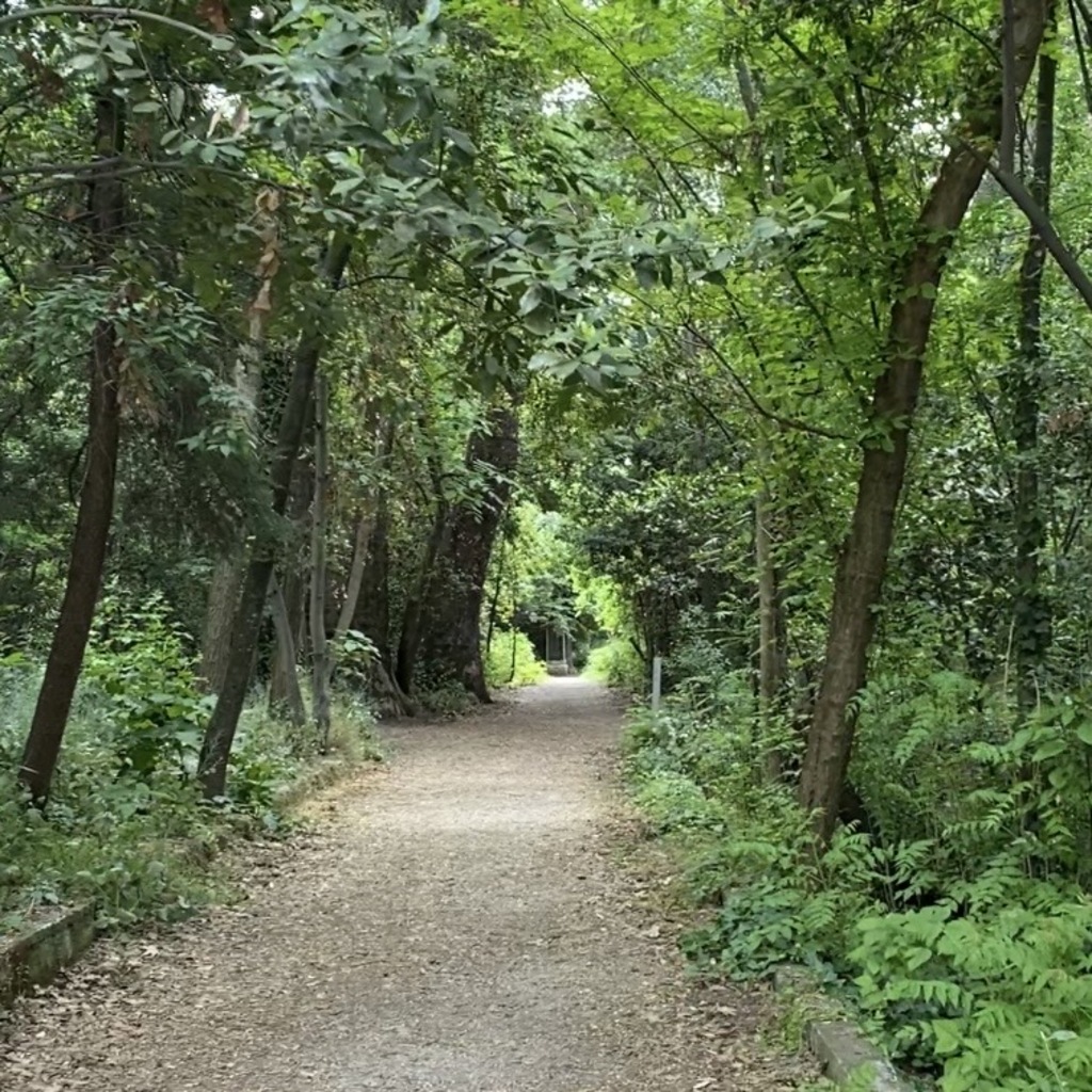 Trail in the lush green garden of Delasalle.