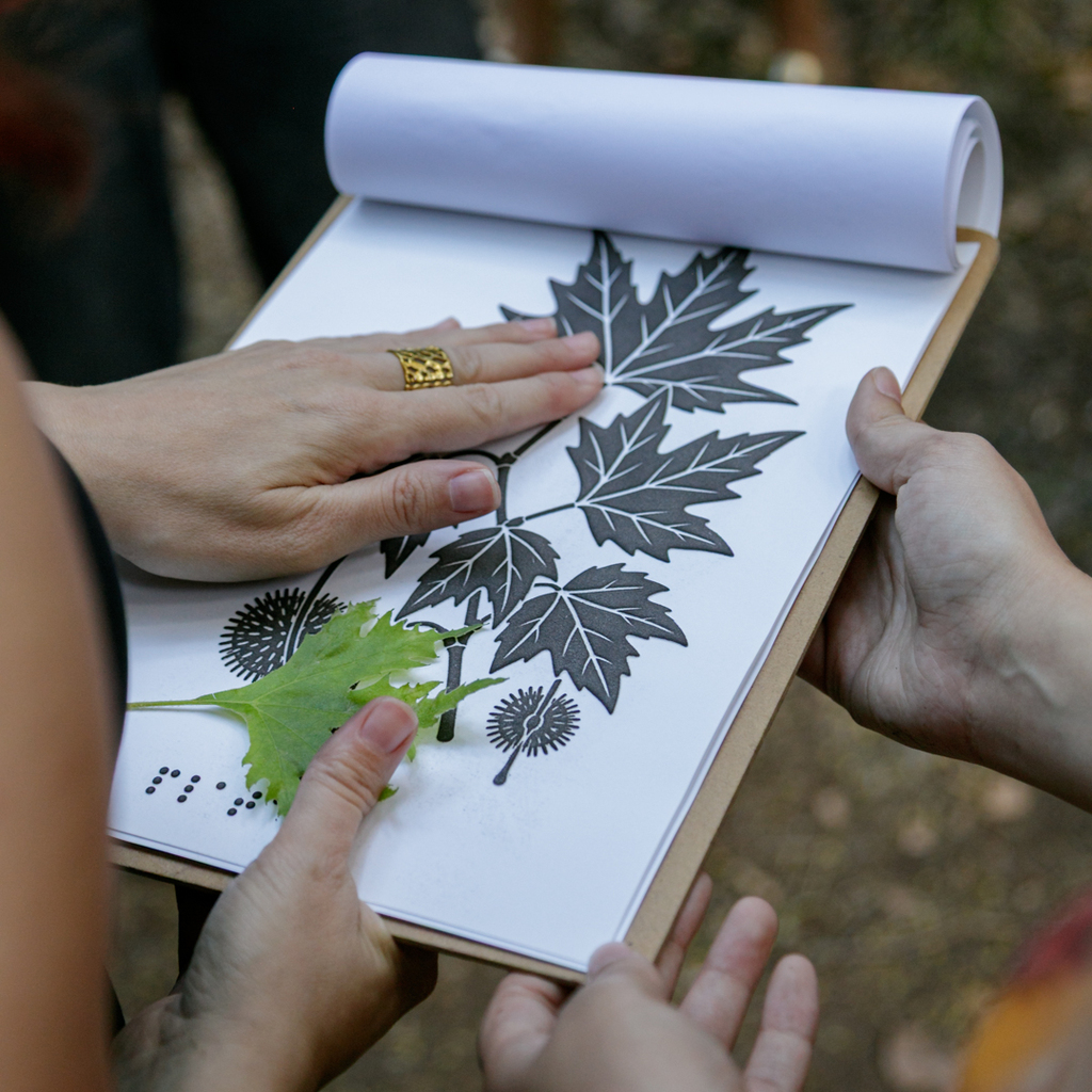 Hands explore a tactile leaf image with a real leaf sample and its name in Braille.