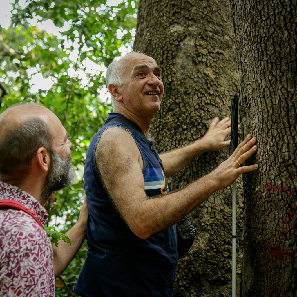 Participant holding a white cane is exploring the bark of a large tree by touch.